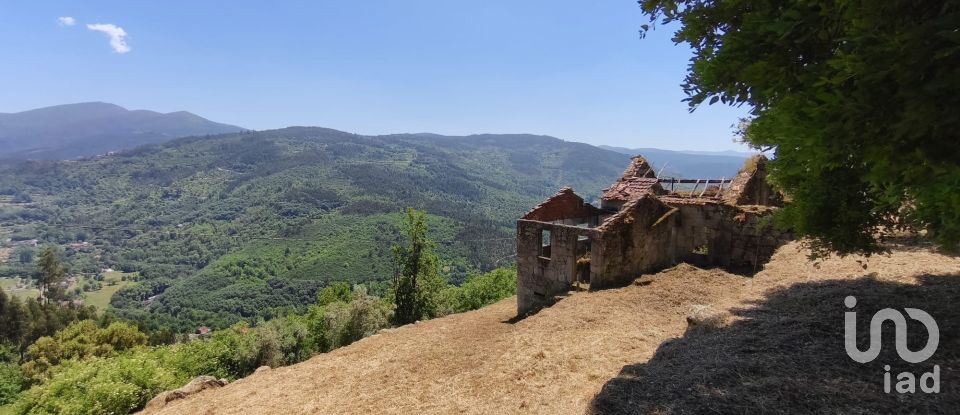 Terrain à bâtir à Santa Ovaia e Vila Pouca da Beira de 12 220 m²