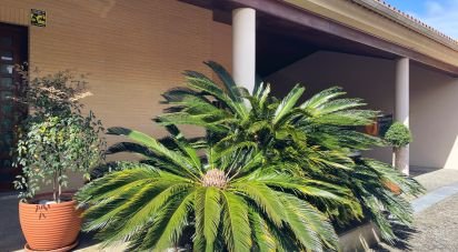 House T3 in Anha of 245 m²