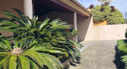 House T3 in Anha of 245 m²