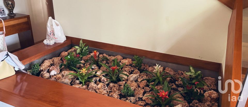 Moradia T3 em Anha de 245 m²