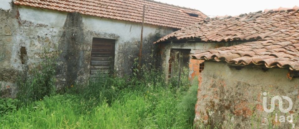 House T2 in Coura of 84 m²