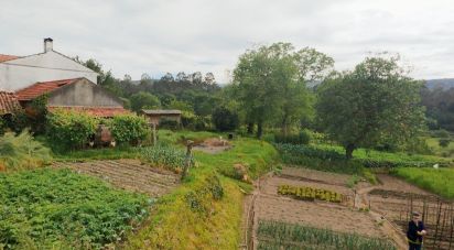 Maison T2 à Coura de 84 m²