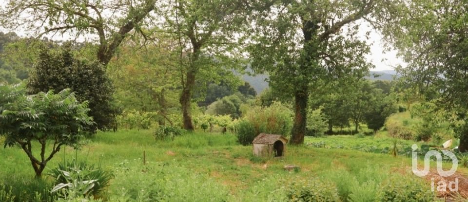 House T2 in Coura of 84 m²