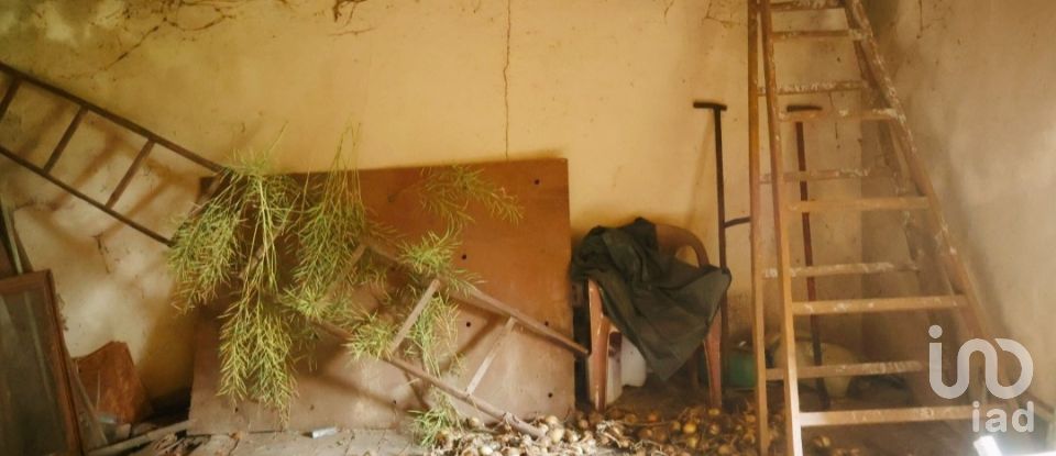 House T2 in Coura of 84 m²