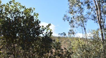 Land in Chãos of 5,380 m²