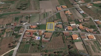 Land in Monte Real e Carvide of 800 m²