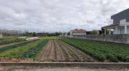 Terrain à Monte Real e Carvide de 800 m²