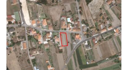 Terrain à Monte Real e Carvide de 800 m²