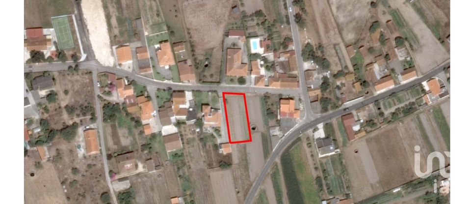 Land in Monte Real e Carvide of 800 m²