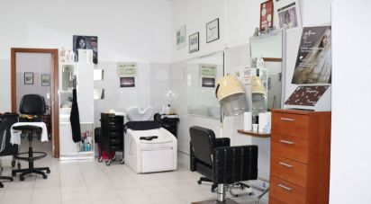 Maison T22 à Condeixa-a-Velha e Condeixa-a-Nova de 766 m²