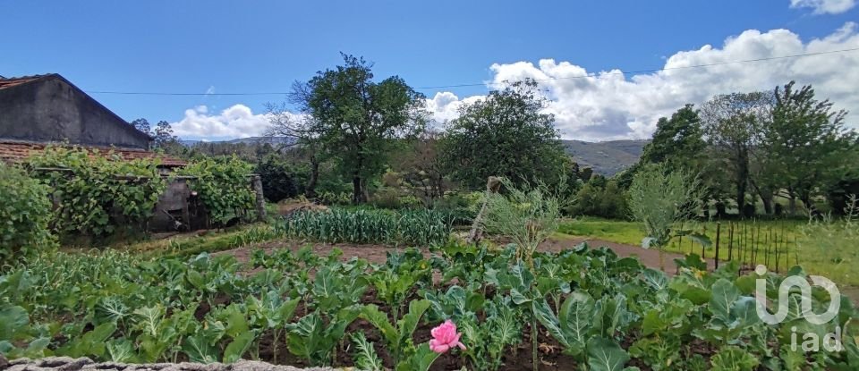 House T2 in Coura of 84 m²