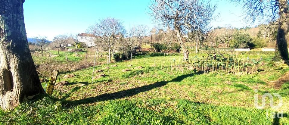 House T2 in Coura of 84 m²