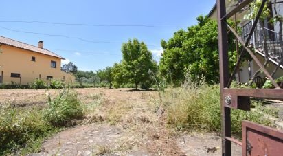Traditional house T3 in São Miguel, Santa Eufémia e Rabaçal of 175 m²