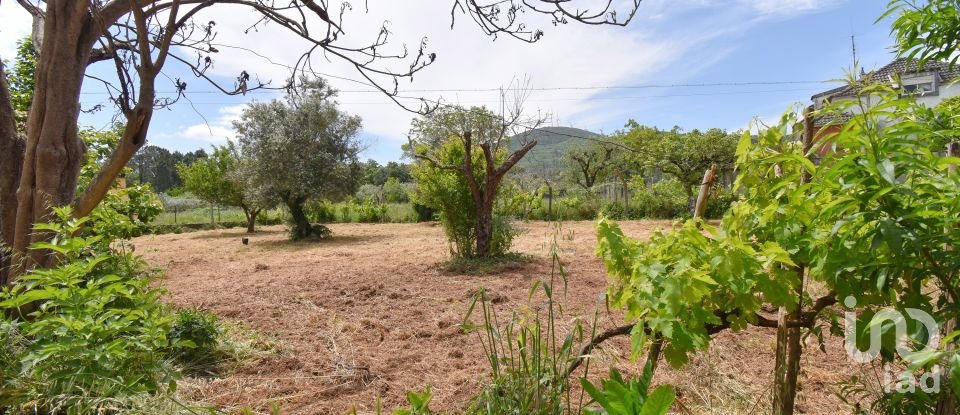 Maison traditionnelle T3 à São Miguel, Santa Eufémia e Rabaçal de 175 m²