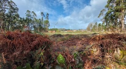 Land in Vila de Punhe of 4,388 m²