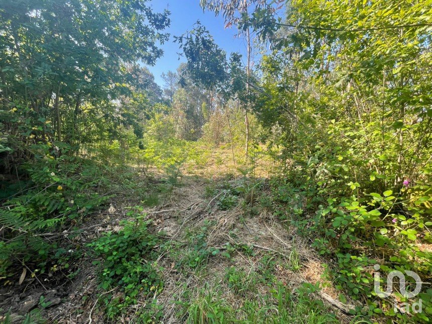 Land in Vila de Punhe of 4,388 m²