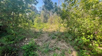 Land in Vila de Punhe of 4,388 m²