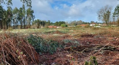 Land in Vila de Punhe of 4,388 m²