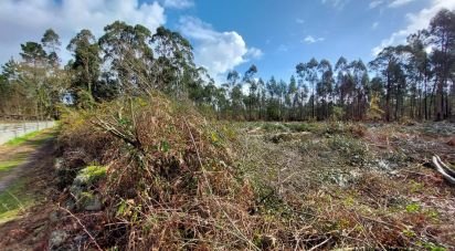 Land in Vila de Punhe of 4,388 m²