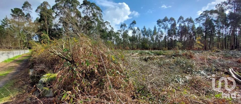 Land in Vila de Punhe of 4,388 m²