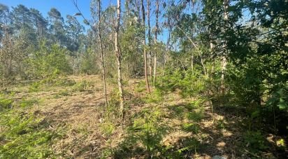 Land in Vila de Punhe of 4,388 m²