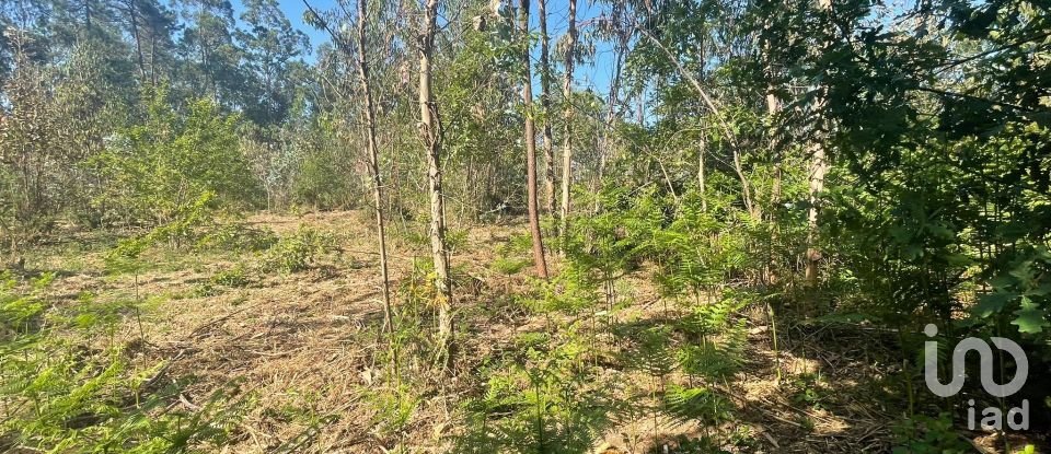 Land in Vila de Punhe of 4,388 m²