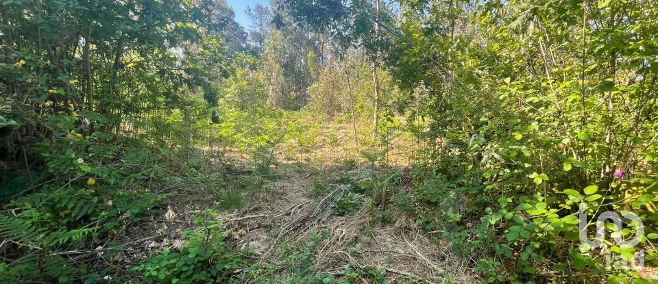 Land in Vila de Punhe of 4,388 m²