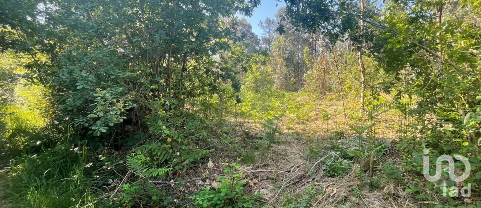 Land in Vila de Punhe of 4,388 m²