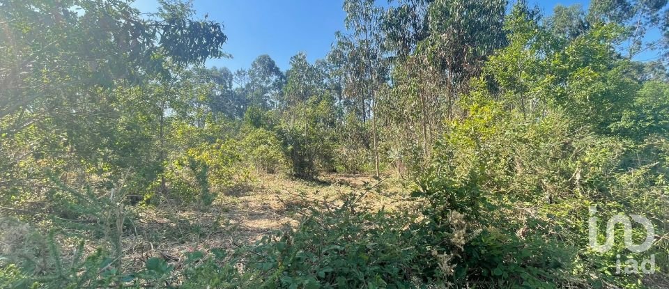 Land in Vila de Punhe of 4,388 m²