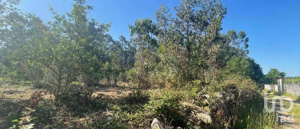 Land in Vila de Punhe of 4,388 m²