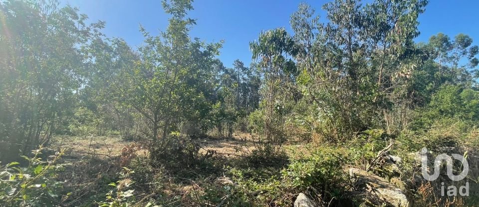 Land in Vila de Punhe of 4,388 m²