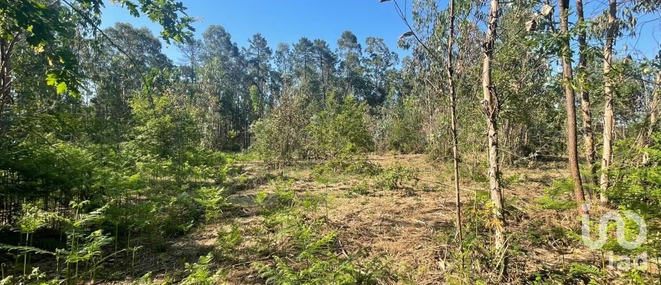 Land in Vila de Punhe of 4,388 m²