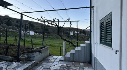 House T4 in Lobrigos (São Miguel e São João Baptista) e Sanhoane of 84 m²