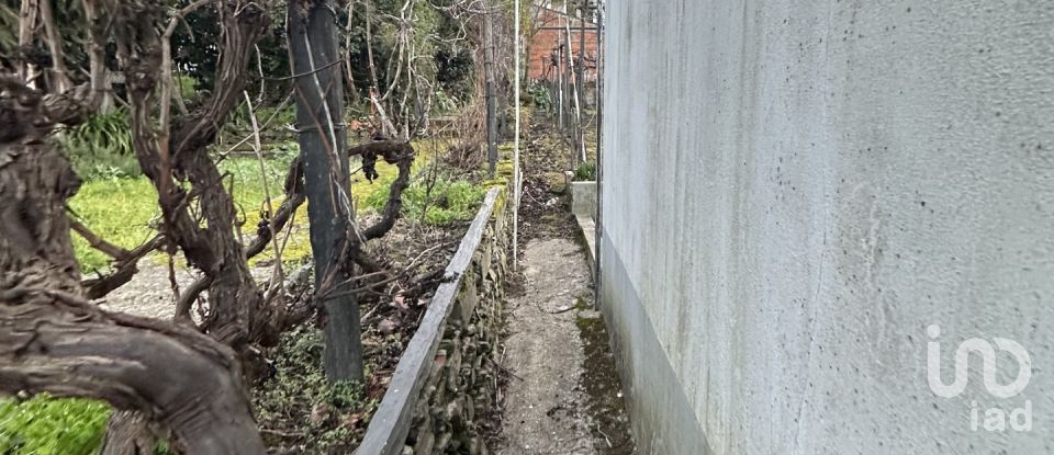 House T4 in Lobrigos (São Miguel e São João Baptista) e Sanhoane of 84 m²