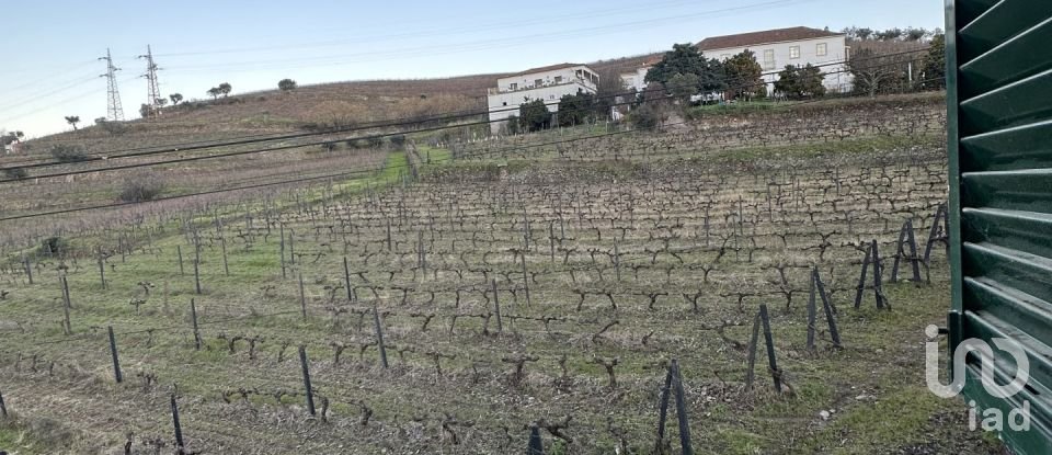 House T4 in Lobrigos (São Miguel e São João Baptista) e Sanhoane of 84 m²