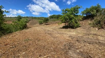 Terrain à Arranhó de 1 840 m²