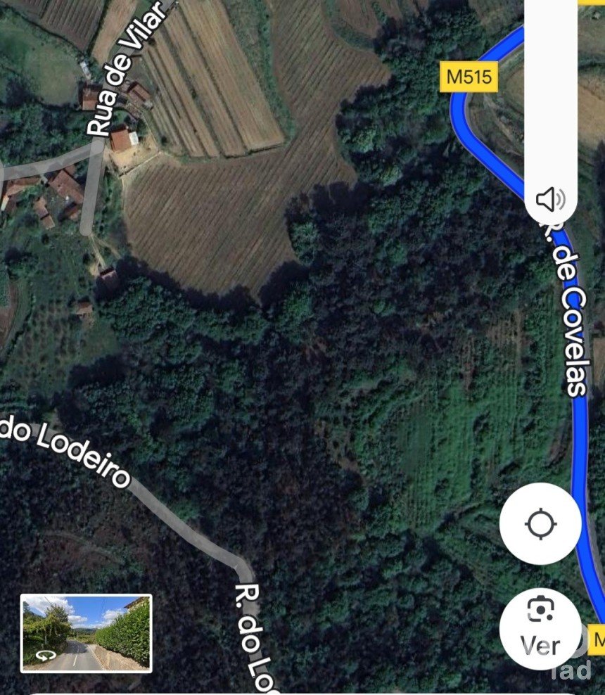 Land in Telões of 25,000 m²