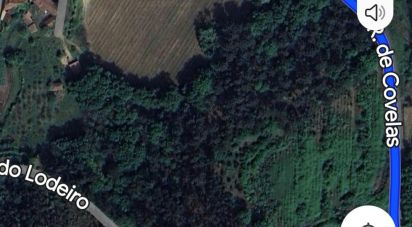 Terrain à Telões de 25 000 m²