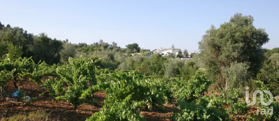 Terrain à Almalaguês de 3 190 m²