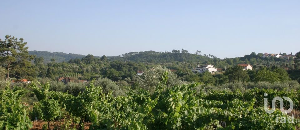 Terrain à Almalaguês de 3 190 m²