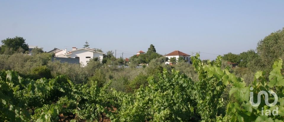 Terrain à Almalaguês de 3 190 m²