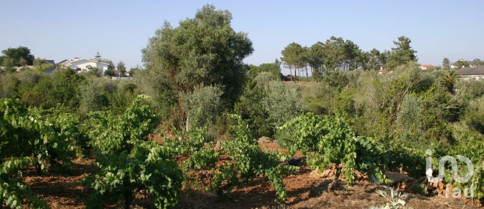 Terrain à Almalaguês de 3 190 m²