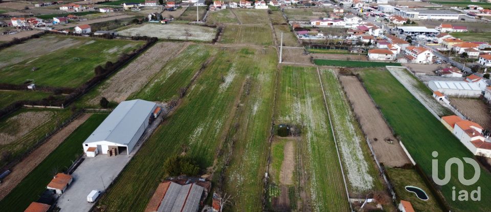 Land in Madalena e Samaiões of 23,834 m²