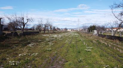 Terrain à Madalena e Samaiões de 23 834 m²