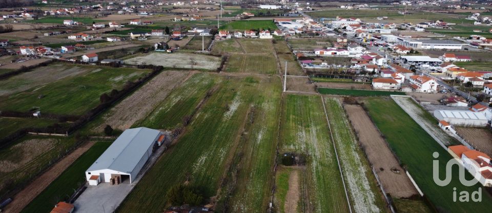 Land in Madalena e Samaiões of 23,834 m²