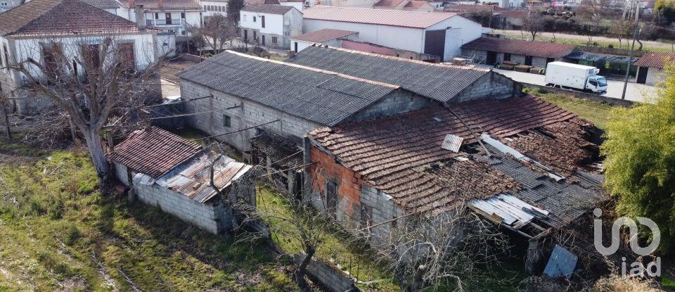 Land in Madalena e Samaiões of 23,834 m²