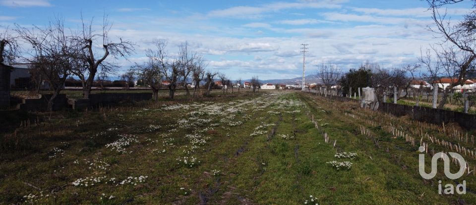 Land in Madalena e Samaiões of 23,834 m²