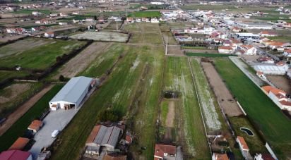 Terrain à Madalena e Samaiões de 23 834 m²