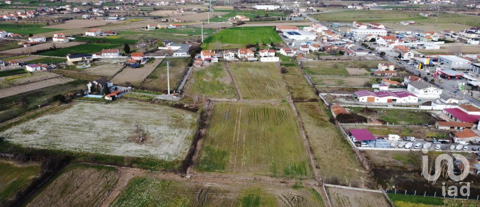 Land in Madalena e Samaiões of 23,834 m²