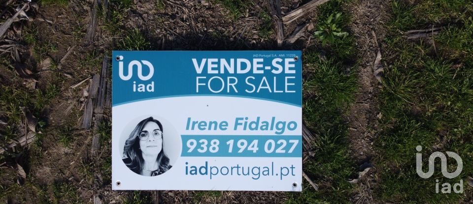 Land in Madalena e Samaiões of 23,834 m²